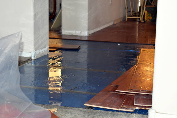 Professional Burst Pipe Cleanup technician working in Shafer, MN